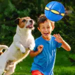 The Doggy Disc Ball - Image 9