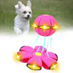 The Doggy Disc Ball - Image 2