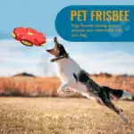 The Doggy Disc Ball - Image 5