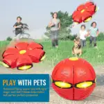 The Doggy Disc Ball - Image 6